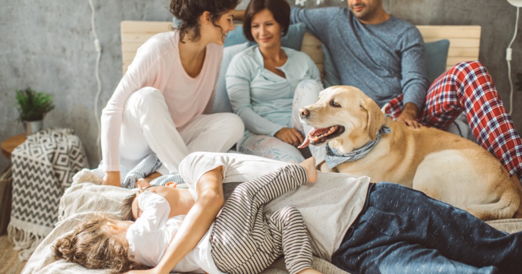 family-and-a-pet-1024x538