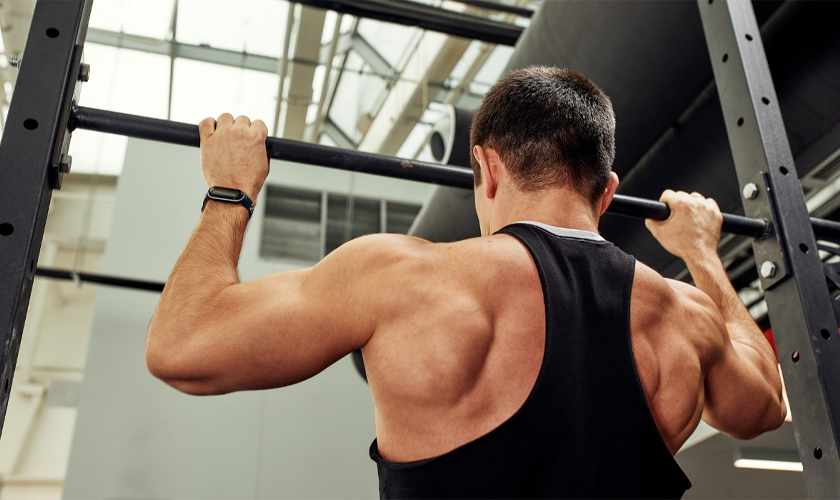 Lift Up Your Fitness Journey with Titan Fitness Equipment